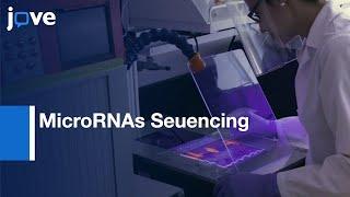 MicroRNAs Seuencing and Analyzing Them Using Open Source Tools  Protocol Preview