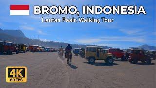 Virtual Jalan di Lautan Pasir Bromo Indonesia  Taman terindah di dunia 4K HDR 60fps