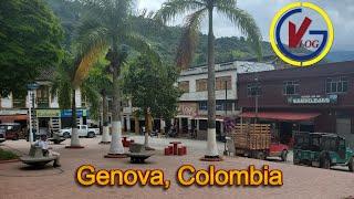 Discover the hidden gem of Genova Colombia