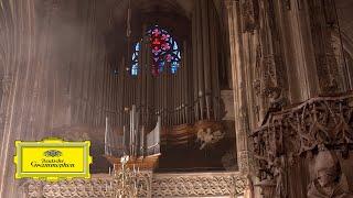 Konstantin Reymaier – Bach Toccata The New Organ at St. Stephens cathedral Vienna