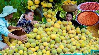 Santol Fruit Harvesting to Make Pickled - Donation Fruit at Kamreng Primary School