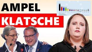 Grüne flippen aus  Kanzler - Klatsche