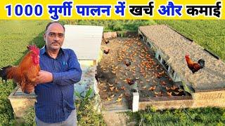 1000 देसी मुर्गी पालन मे टोटल खर्च और कमाई का हिसाब  Free range desi murgi palan