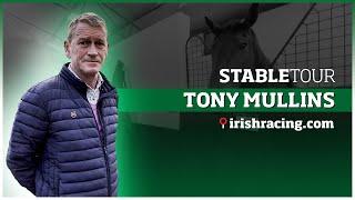 Tony Mullins Stable Tour  February 2023