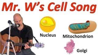 The Cell Song Learn the parts of cells by singing along with Mr. W