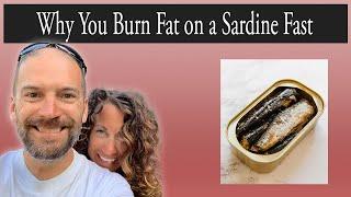 Why You Burn Fat on a Sardine Fast