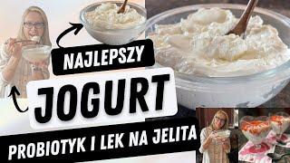 Natural and Greek yogurt recipe Great probiotic and medicine for the GUT