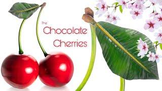 Chocolate Cherries