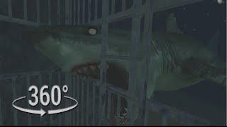 360° VR  Shark Cage Escape in 360 Video  Will You Survive From Shark Attack