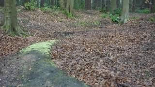 Ringwork historic site Pollok Park