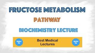 Fructose Metabolism pathway