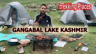 gangabal popular treking  places kashmir