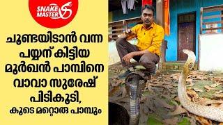 ചൂണ്ടയിടാൻ വന്ന പയ്യന് മീനിന് പകരം കിട്ടിയത് പാമ്പുകളെ...  Vava Suresh  Snakemaster EP 998