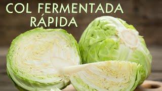 Col fermentada rápida