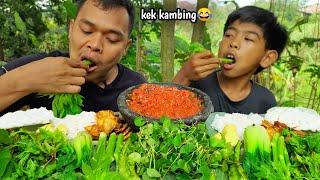 Mukbang lalapan batang pepaya + pucuk paku + jengkol + antanan + ikan kapas + sambel terasi nikmat