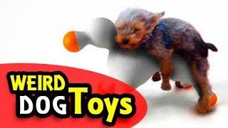 Top 7 Weird Dog Toys HD