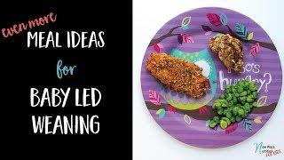 Even More Meal Ideas for Baby Led Weaning