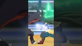 Brutal Fight  Lucario Vs Garchomp  #ashvsleon #shorts #pokemon