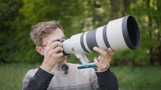 Canon RF 100-300 2.8 Review  Gamechanger für Tierfotografie?