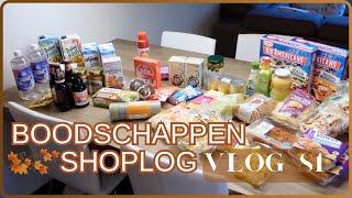 Boodschappen shoplog  Lidl Albert Heijn Plus & Action  Update uploads   VLOG 81  Gwenn&Clean