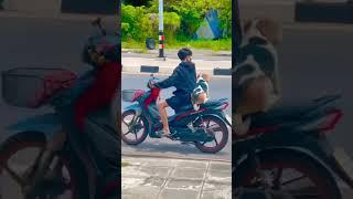 คนขี่ผีกับมอเตอร์ไซค์  Ghost riders with Beagle on motorcycle #shortsvideo #dogvlog #vlog