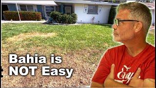 How To Care For A Bahia Grass Lawn Part 1