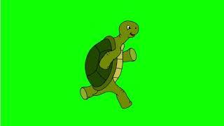 Turtle green screen  Cartoon Turtle green screen  Green screen Turtle animation video