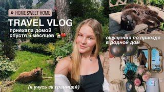 VLOG возвращение домой спустя 6 месяцев   встреча с семьей   *учеба за границей*