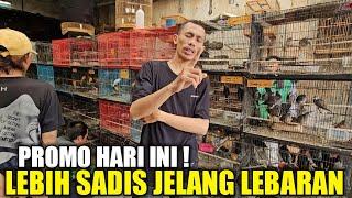 DILUAR PRAMUKA  ABADI BIRD BIKIN HARGA LEBIH GILA JELANG HARI RAYA BIKIN SATU PRAMUKA KETAR KETIR