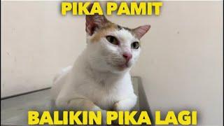 PIKA PAMIT BALIKIN PIKA KE RUMAH LAMA SELAMAT TINGGAL