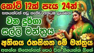 අතටම සල්ලි ඕනේ නම් දැන්ම අහන්න.. Vana Durga MONEY Mantra E Money Sinhala earn money online sinhala