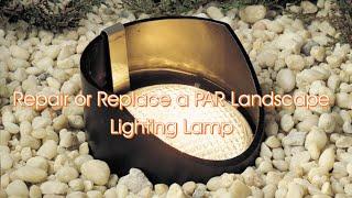 Landscape Lighting Maintenance PAR lamp replacement or repair