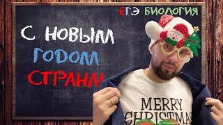 С Новым годом страна