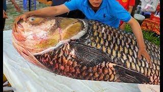 Резка Гигантского 78 кг Рыбы Сиамского Черного Карпа. Вьетнам Уличная Еда.