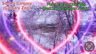 Sở Thú Phần 2 Điểm Đến Châu Phi—Calgary Zoo