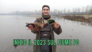 CACCIA alle ANATRE - inizio il 2023 sul FIUME PO