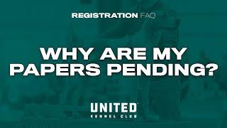 UKC Registration FAQ - Why Are My Papers Pending?