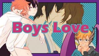 The biggest controversy surrounding boys love  shounen ai