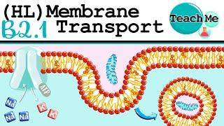 B2.1 - Membrane Transport - IB Biology HL