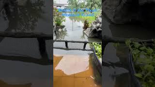 First Time Seksyen 36 Shah Alam Banjir Air Pasang Besar Sungai Klang  19 Dec 2021