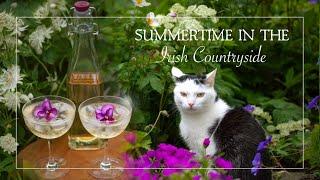 Irish Cottage Garden  Living in Ireland Vlog  Slow Living  Rescuing a Stray Cat