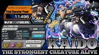 KAIDO  ONE PIECE BOUNTY RUSH OPBR