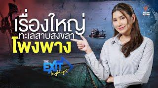 เรื่องใหญ่ทะเลสาบสงขลา โพงพาง  The Exit Highlight EP.82  Thai PBS News