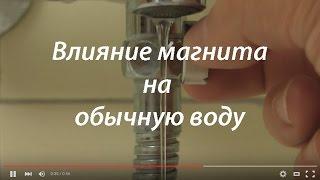 Влияние магнита на воду  Как магнит влияет на воду 