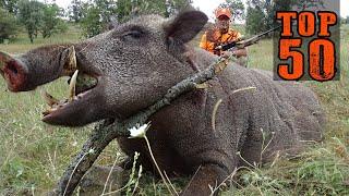 TOP 50 DEATH STRIKES KEEP YOUR BREATH Great boar hunt unforgettable scenes