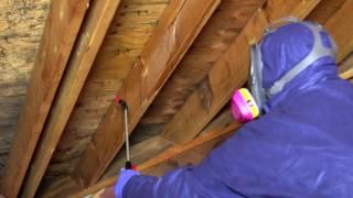 Mold-X2 Kills Mold in Crawl Spaces and Attics & Helps Prevent Future  Growth.