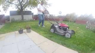 Honda HRX217 mulching demonstration