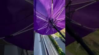 8 Telli Otomatik Fiberglass  Gövdeli Renkli Yağmur Şemsiyesi
