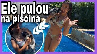 DESAFIO DA PISCINA Meu cachorro pulou na piscina  3 irmãs demais