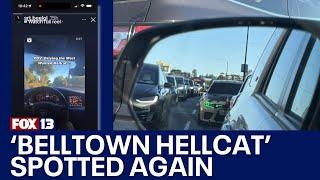 Seattles Belltown Hellcat hits the road again despite court order Reddit  FOX 13 Seattle